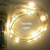 20 Twinkle Fairy Lights on Silver Wire