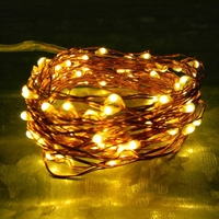 200 Warm White LEDs on Copper or Silver Wire