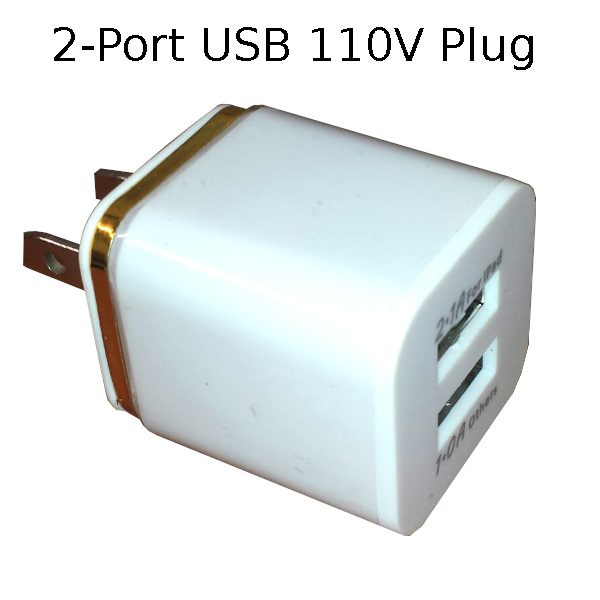 110V Wall Plug with 2 USB Ports